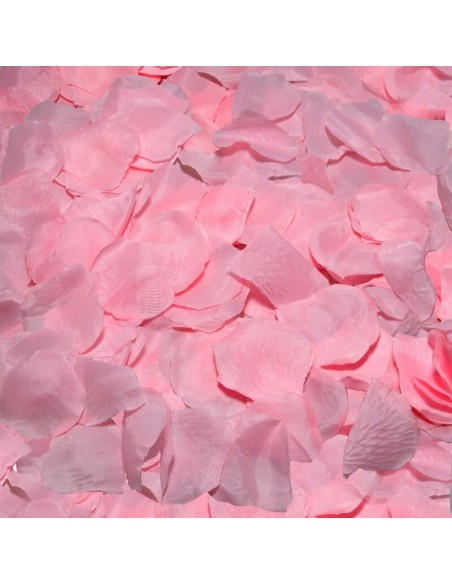 DIABLO PICANTE - 100 PÉTALOS ROSA DIABLO PICANTE