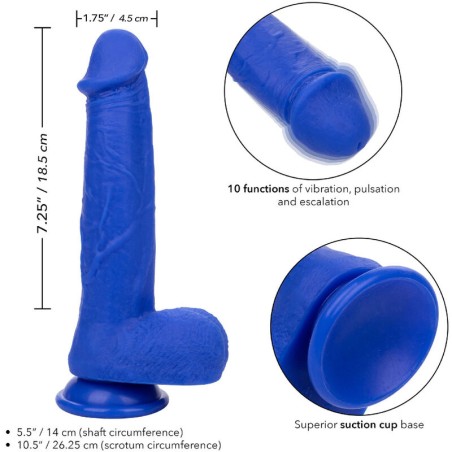 CALEXOTICS - ADMIRAL CAPTAIN DILDO REALÍSTICO VIBRADOR AZUL CALEXOTICS