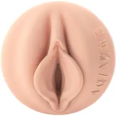 FLESHLIGHT FANTASY - EVIE AKASHIYA VAGINA 2